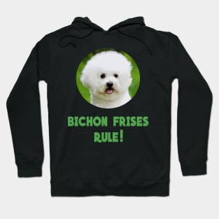 Bichon Frises Rule! Hoodie